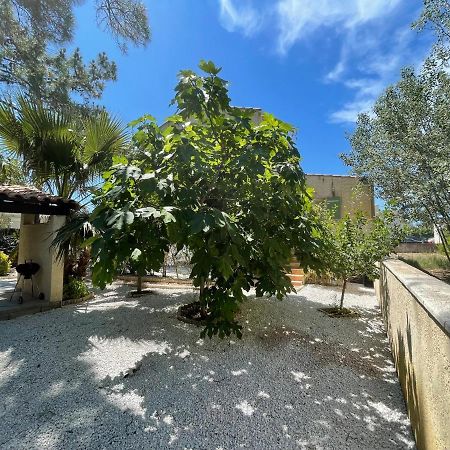 Marseillan Plage Joli T2 Экстерьер фото